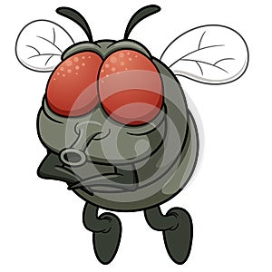 Cartoon fly photo