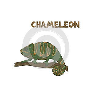 Vector illustration, a cartoon green chameleon with orange strips and brown dots with swirled tail, sitting on a branch