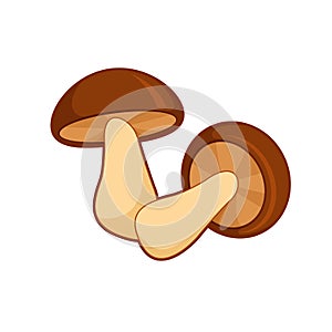 Vector illustration of cartoon mushrooms