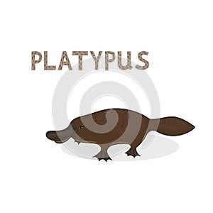 Vector illustration, a cartoon platypus, isolated on a white background. Animal alphabet.