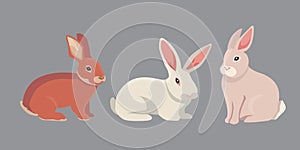 Vector illustration of cartoon rabbits different breeds. Fine bunnys for veterinary design.