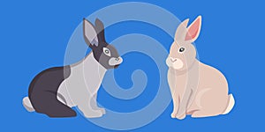 Vector illustration of cartoon rabbits. set drawing isolated rabbit.