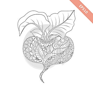 Vector illustration cartoon red beet with floral ornament.