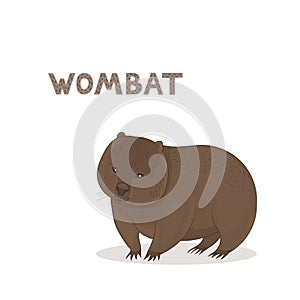 Vector illustration, a cartoon wombat, isolated on a white background. Animal alphabet.