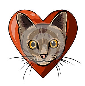 Vector illustration of cat head cartoon style
