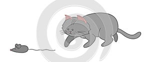 Vector illustration of a cat hunting a mouse