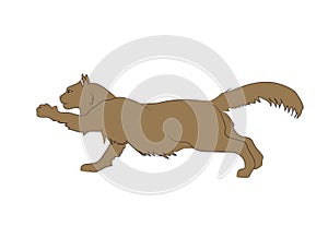 Vector illustration of a cat that lapsing a paw, drawing color