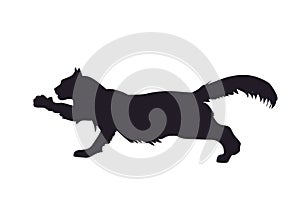 Vector illustration of a cat that lapsing paw, drawing silhouette