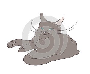 Vector illustration of a cat that lies drawing color