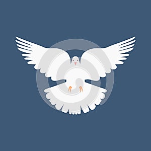 Vector illustration of the christian dove flying in the sky