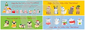 Vector illustration of christmas cats, rats, pigs and dogs with Christmas and new year greetings. Cute pets with holiday