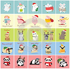 Vector illustration of christmas cats, rats, pigs and dogs with Christmas and new year greetings. Cute pets with holiday