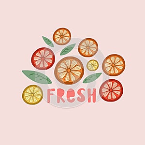 Vector illustration with citruses. The inscription is fresh. Figure lemons, oranges, grapefruits