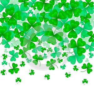 Vector illustration of clover leaves on white. St Patrick`s Day background. Green frame.