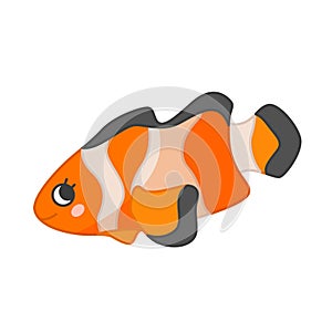 Vector illustration of clown fish