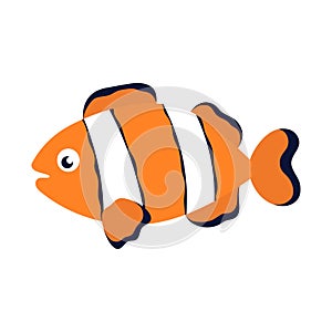 vector illustration of clownfish isolated on white photo