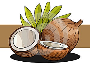 Vector illustration of coconuts with halves on a brown stripe.