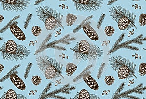 Vector illustration of a collection of coniferous branches and pine cones on a white background.
