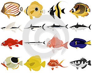 Vector illustration collection of fishes