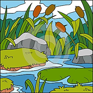 Vector illustration, color background (swamp) photo