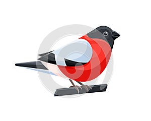 Vector illustration of colorful bullfinch bird on white background