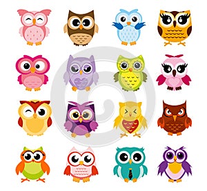 Vector illustration of colorful cartoon funny owls set on white background. Happy and joyful birds set in flat style.