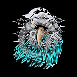 vector illustration colorful eagle head with a dashing position vintage