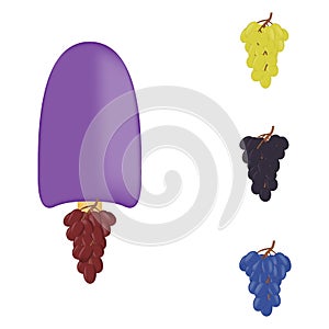 Vector illustration of colorful Fresh grape ice cream