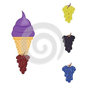 Vector illustration of colorful Fresh grape ice cream