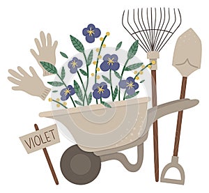 Vector illustration of colorful garden wheel barrow with violet flowers, rakes, spade, gloves. Cartoon style spring or summer