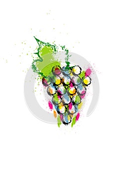 Vector illustration colorful and grapes vine icon. Abstract splash style watercolor with grape berries. Design concept