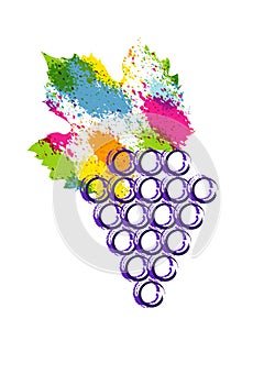 Vector illustration colorful and grapes vine icon. Abstract splash style watercolor with grape berries. Design concept