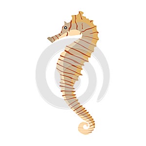 Vector illustration of a colorful seahorse