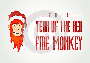 Vector illustration concept of red fire mokey. photo