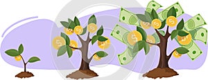 Vector illustration concept of wealth, income growth. Money tree growth stages.