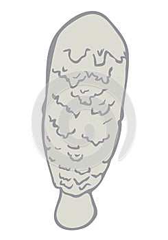 Vector illustration of coprinus comatus.