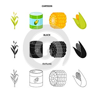 Vector illustration of cornfield and vegetable icon. Set of cornfield and vegetarian stock symbol for web.