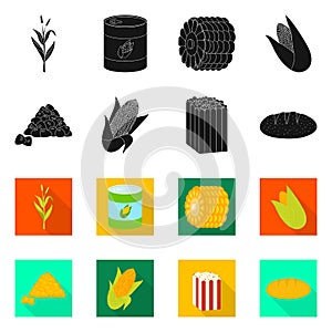 Vector illustration of cornfield and vegetable logo. Collection of cornfield and vegetarian vector icon for stock.