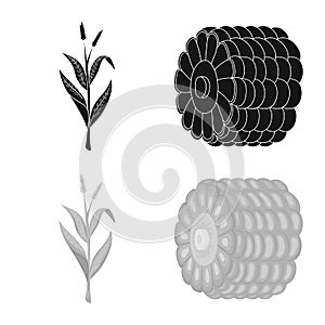 Vector illustration of cornfield and vegetable sign. Collection of cornfield and vegetarian stock vector illustration.