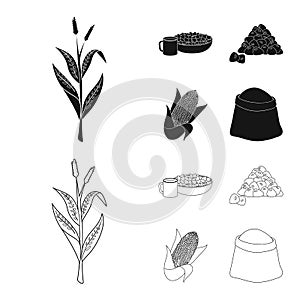 Vector illustration of cornfield and vegetable sign. Collection of cornfield and vegetarian vector icon for stock.