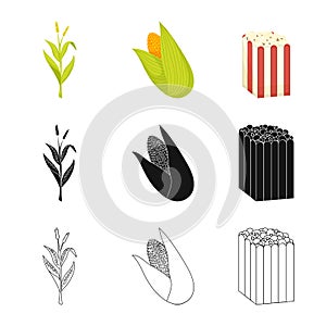 Vector illustration of cornfield and vegetable symbol. Collection of cornfield and vegetarian stock symbol for web.