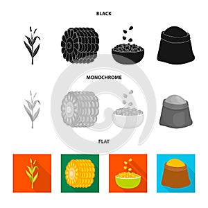 Vector illustration of cornfield and vegetable symbol. Set of cornfield and vegetarian vector icon for stock.