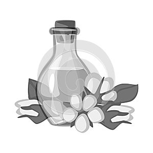 Vector illustration of cottonseed and ball logo. Collection of cottonseed and medicine vector icon for stock.