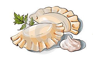 Vector illustration of a couple dumplings, sour cream and parsley.