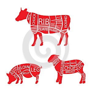 Vector illustration cow, lamb and pork cuts diagramm or chart.