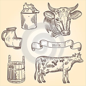 Cows milk canister jug cup