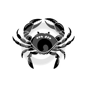 Vector illustration of a crab, showcasing detailed design elements photo
