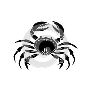 Vector illustration of a crab, showcasing detailed design elements photo