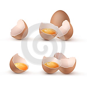 Vector illustration of cracked eggs with yolks, set eggshells cracked and broken in halves on background