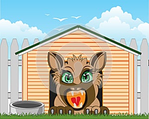 Vector illustration cruel pets cruel dog in box